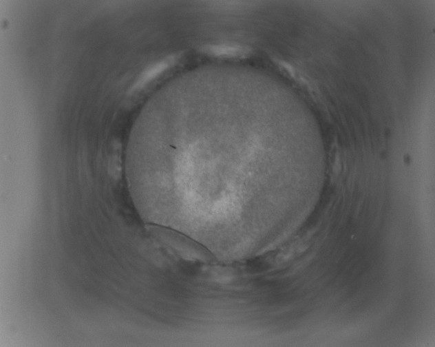 X0000081311301200702012324