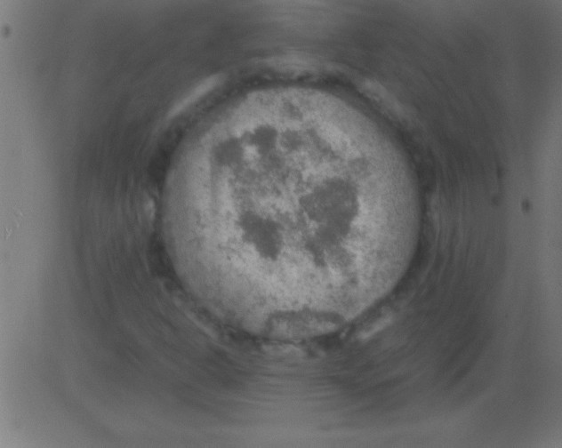 X0000081311302200702012324