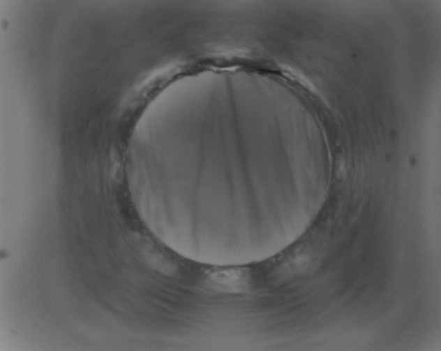 X0000081311303200702012324