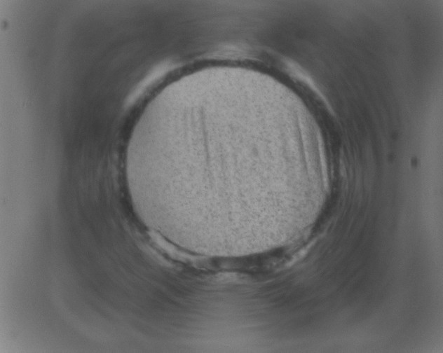 X0000081311304200702012324