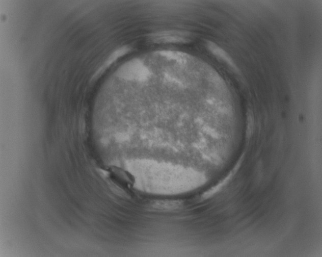 X0000081311305200702012324