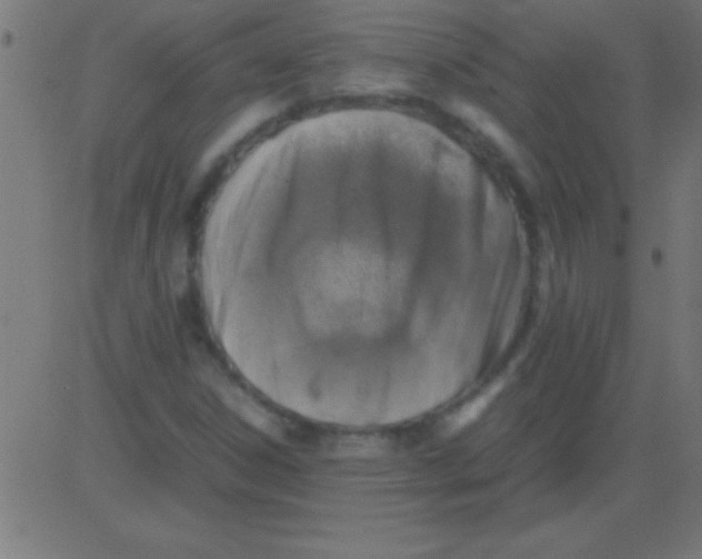 X0000081311306200702012324