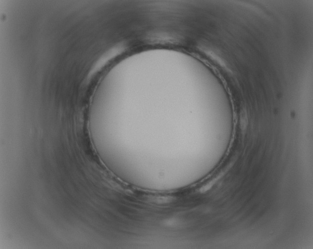 X0000081311309200702012324