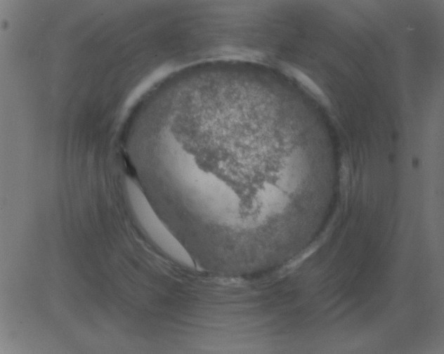 X0000081311310200702012324