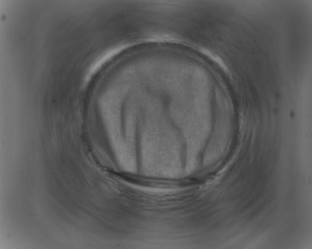 X0000081311311200702012324