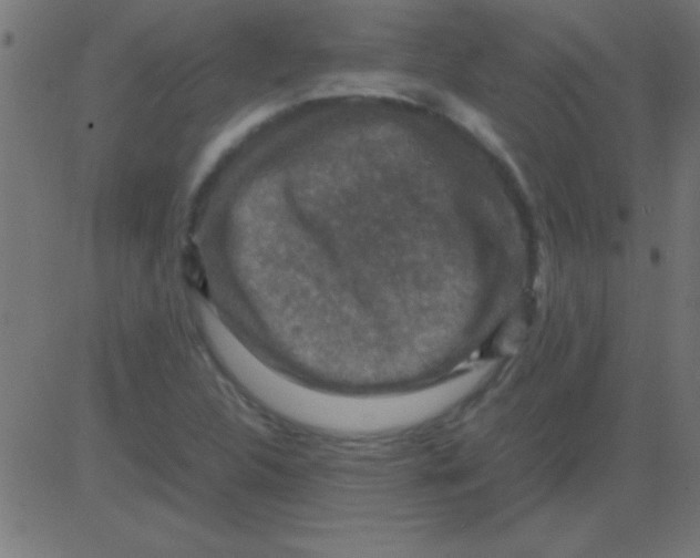 X0000081311312200702012324