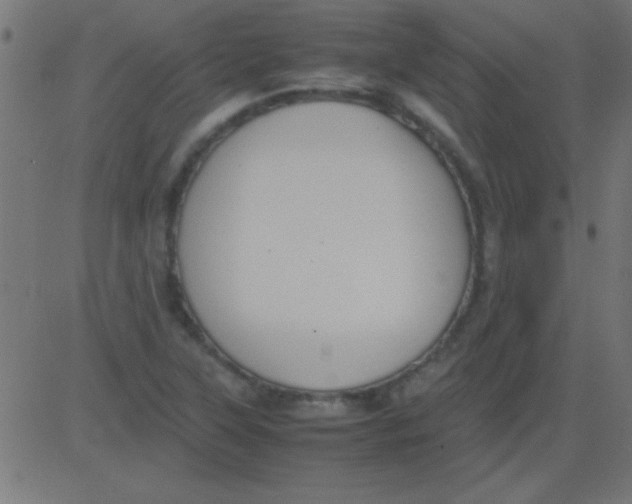 X0000081311315200702012324