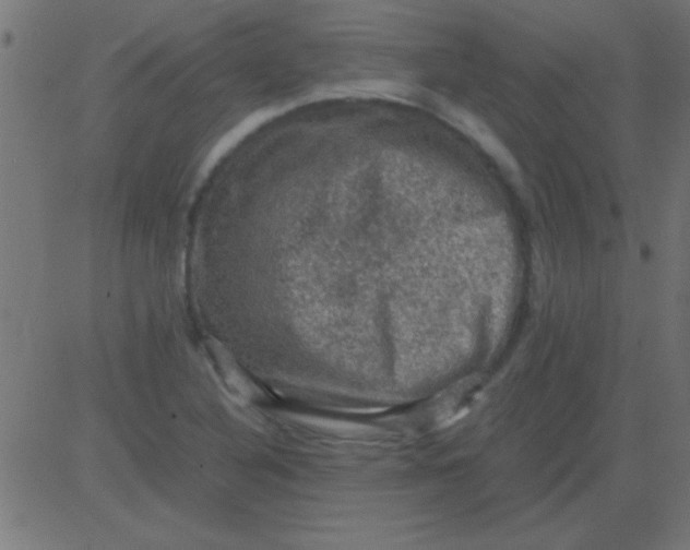 X0000081311316200702012324