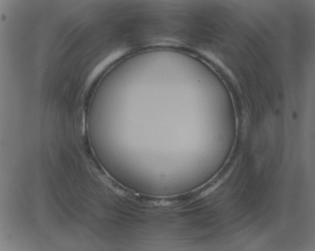 X0000081311317200702012324