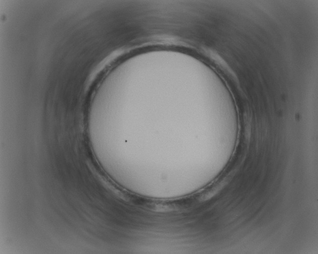 X0000081311318200702012324