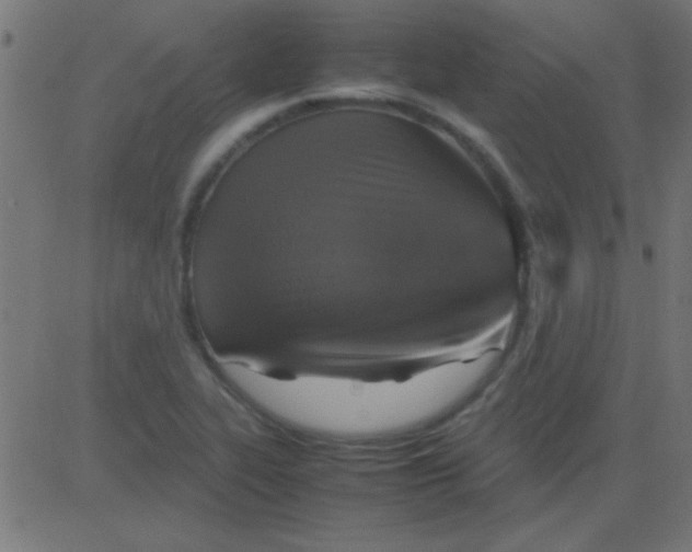 X0000081311319200702012324