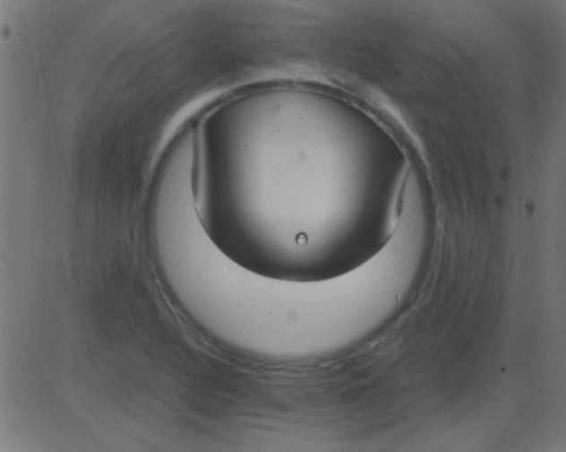 X0000081311320200702012324