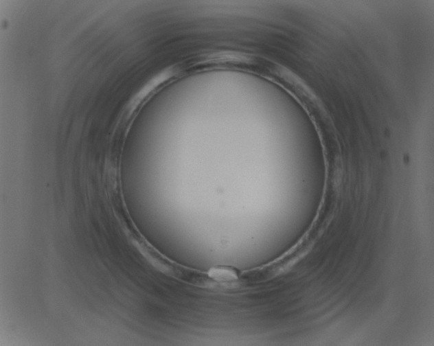 X0000081311321200702012324