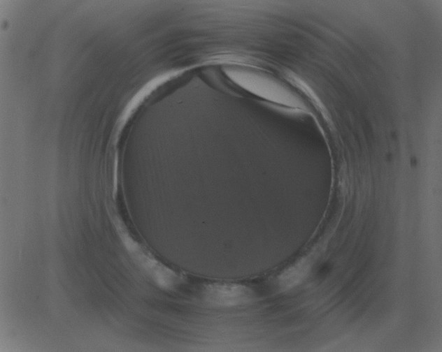 X0000081311323200702012324