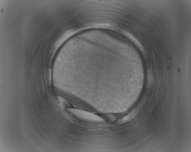 X0000081311324200702012324