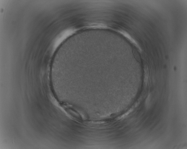 X0000081311325200702012324