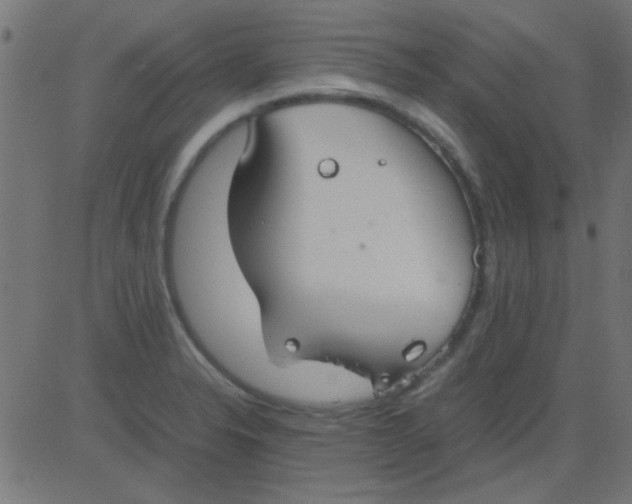 X0000081311326200702012324