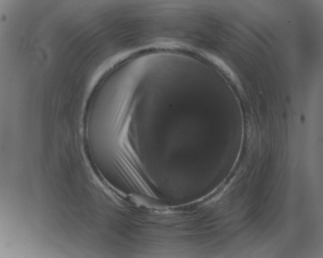 X0000081311327200702012324