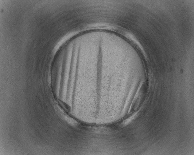 X0000081311328200702012324