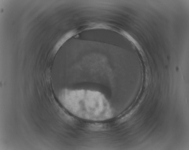 X0000081311329200702012324