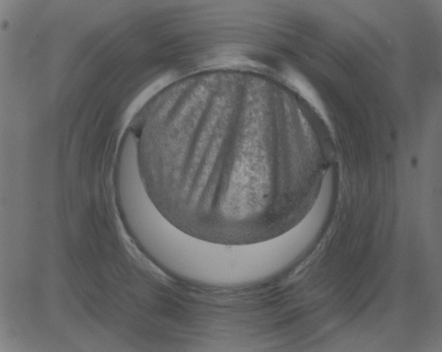 X0000081311330200702012325