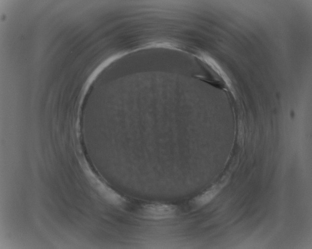 X0000081311331200702012325