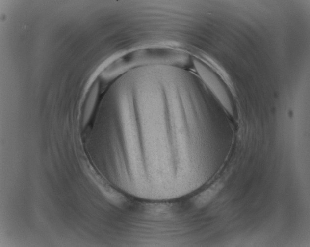 X0000081311332200702012325