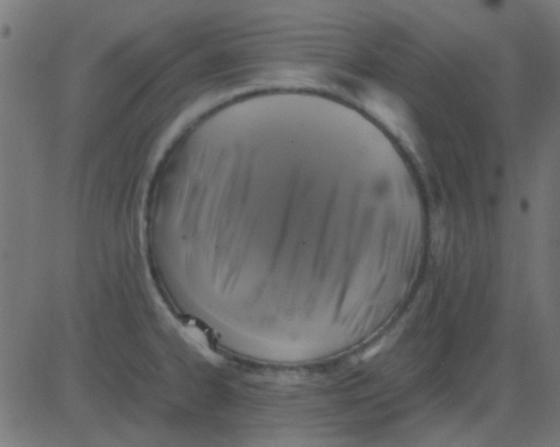 X0000081311334200702012325