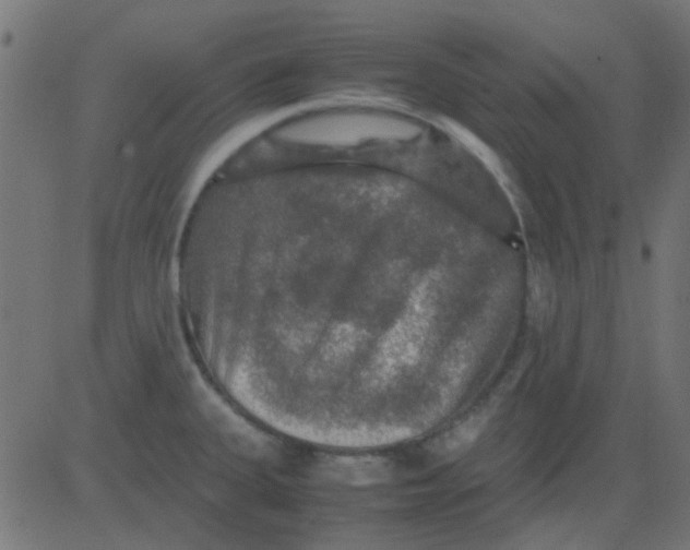 X0000081311335200702012325