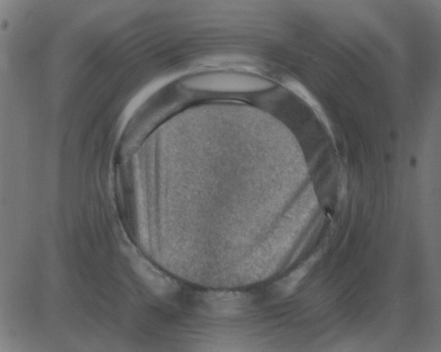 X0000081311336200702012325