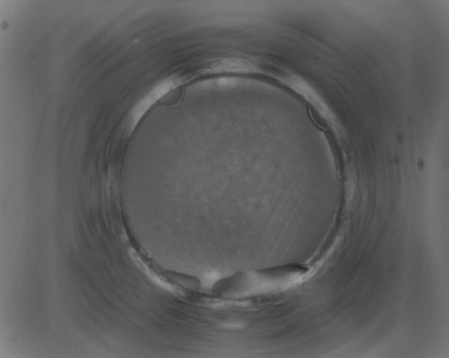 X0000081311337200702012325