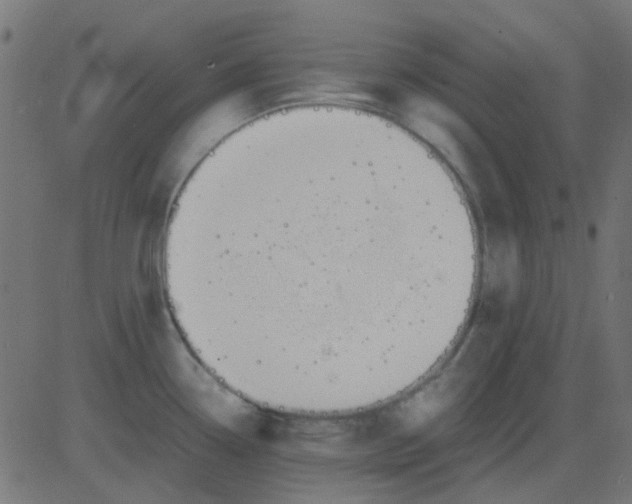 X0000081311338200702012325