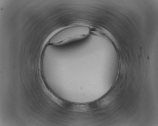 X0000081311339200702012325