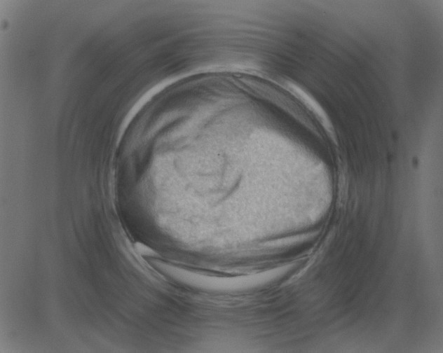 X0000081311340200702012325