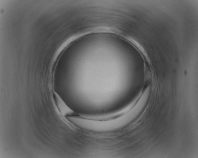 X0000081311342200702012325