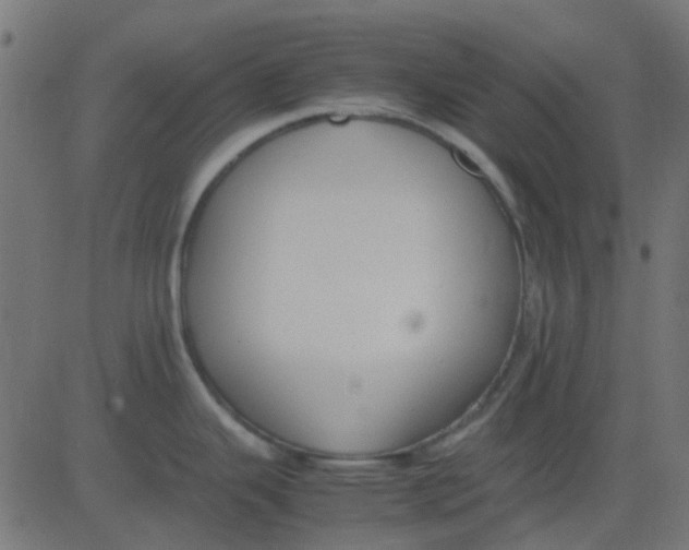 X0000081311343200702012325