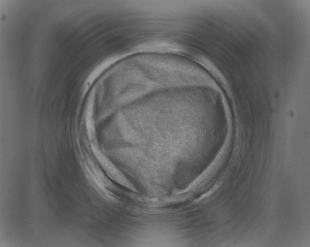 X0000081311344200702012325