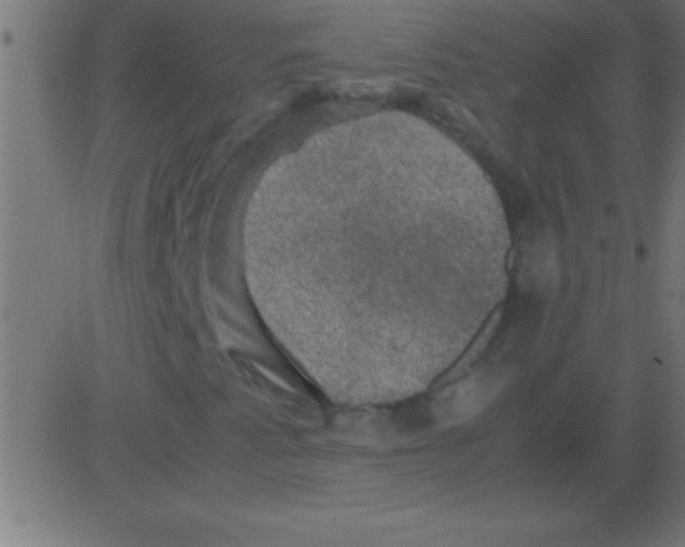 X0000081311345200702012324