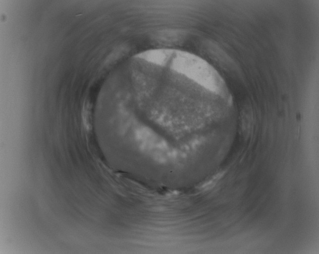 X0000081311346200702012324