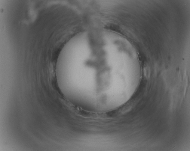 X0000081311347200702012324