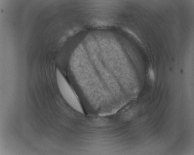 X0000081311348200702012324