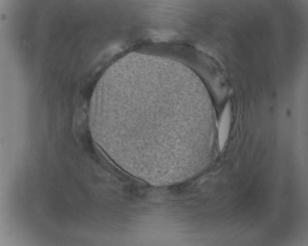 X0000081311349200702012324