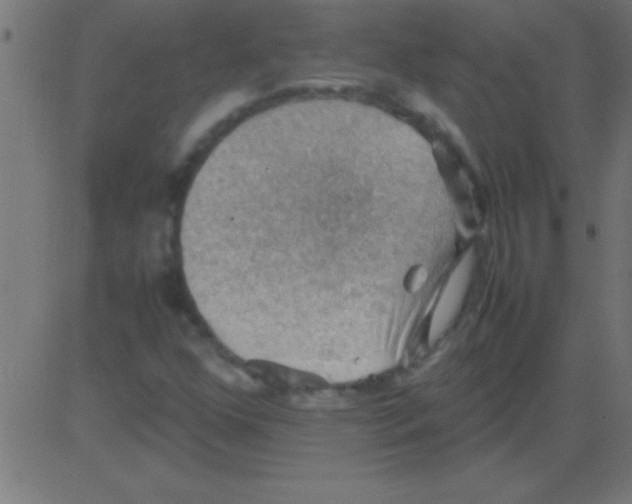 X0000081311352200702012324