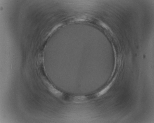 X0000081311353200702012324