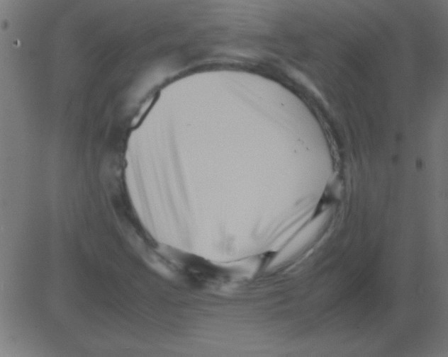 X0000081311355200702012324