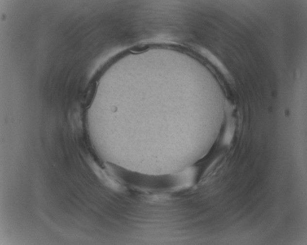 X0000081311356200702012324