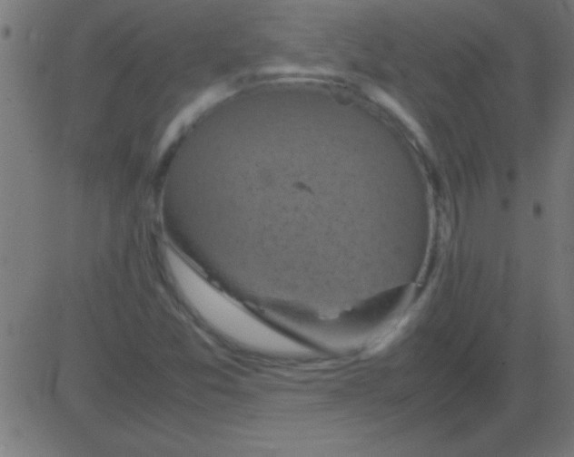 X0000081311357200702012324