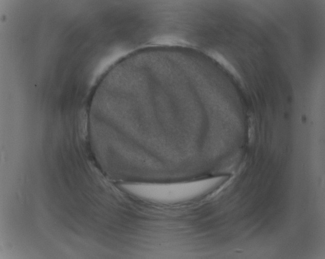 X0000081311358200702012324