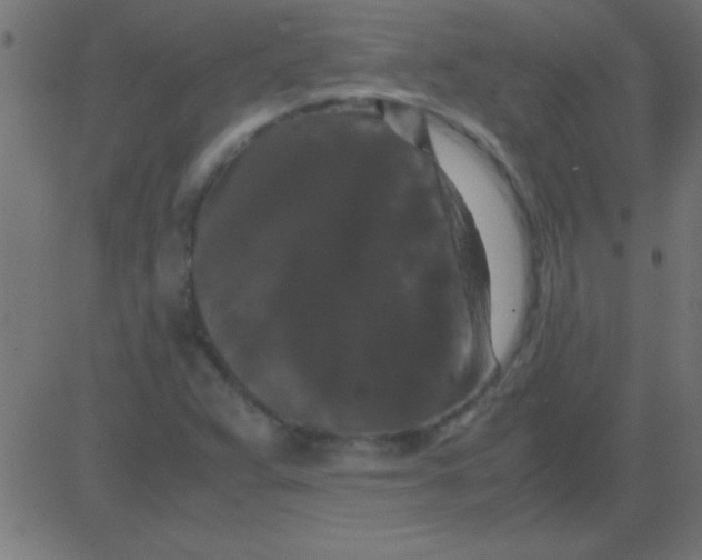 X0000081311359200702012324