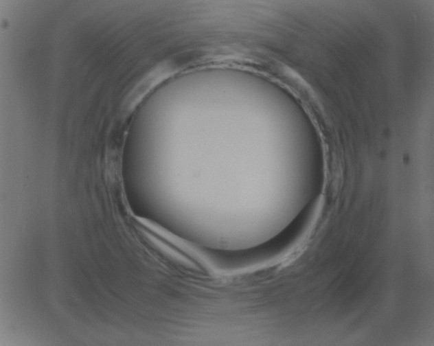 X0000081311361200702012324